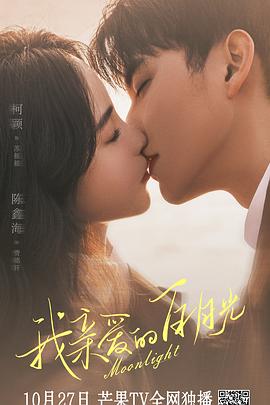 珠海网站站内优化服务